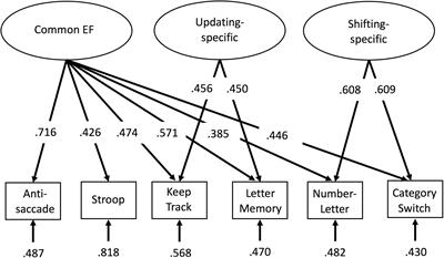 Neuroanatomical Correlates of the Unity and Diversity Model of Executive Function in Young Adults